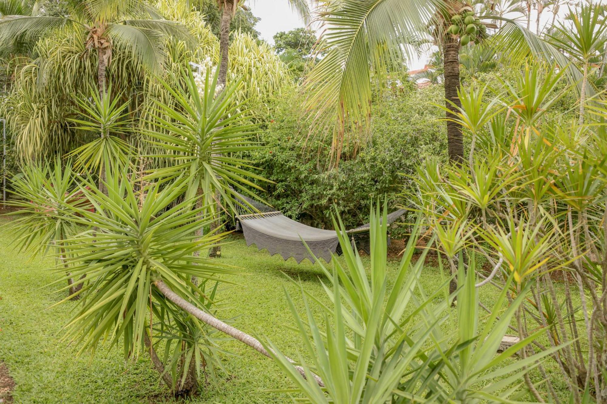 Hotel Villa Del Sol Coco Exteriér fotografie