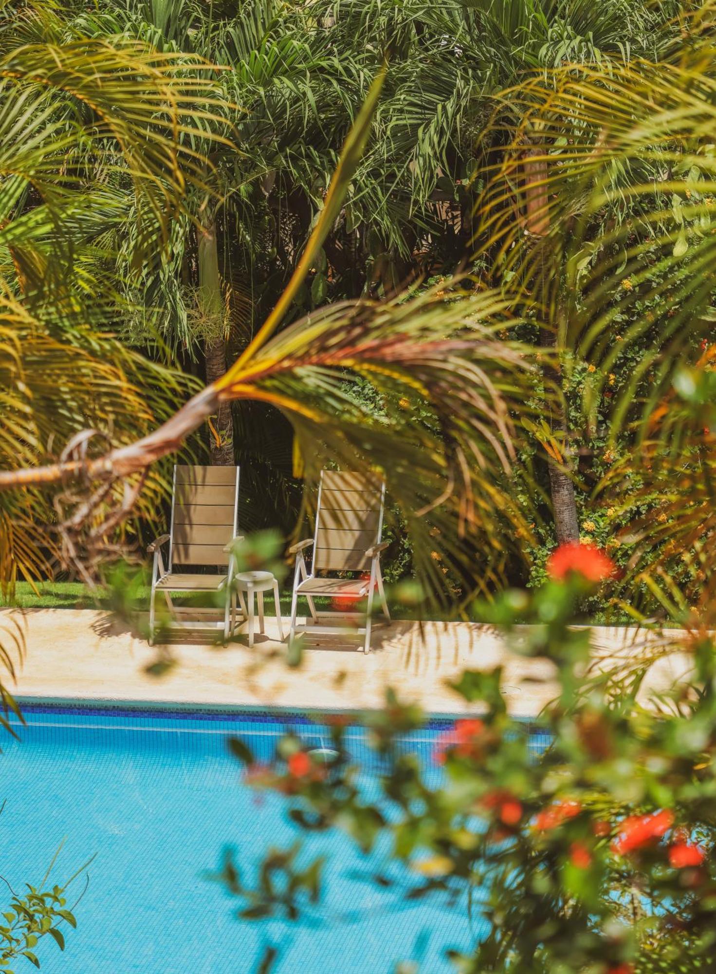 Hotel Villa Del Sol Coco Exteriér fotografie